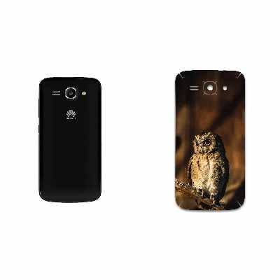 برچسب پوششی ماهوت مدل Owl مناسب برای گوشی موبایل هوآوی Ascend Y520