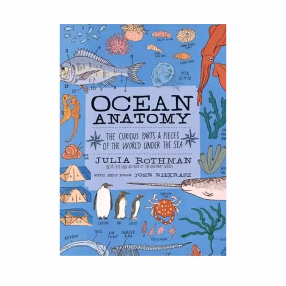 کتاب Ocean Anatomy: The Curious Parts &amp; Pieces of the World Under the Sea اثر Julia Rothman and John Niekrasz انتشارات مولفین طلایی