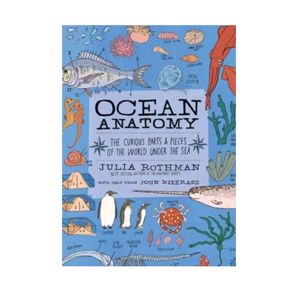 کتاب Ocean Anatomy: The Curious Parts &amp; Pieces of the World Under the Sea اثر Julia Rothman and John Niekrasz انتشارات مولفین طلایی