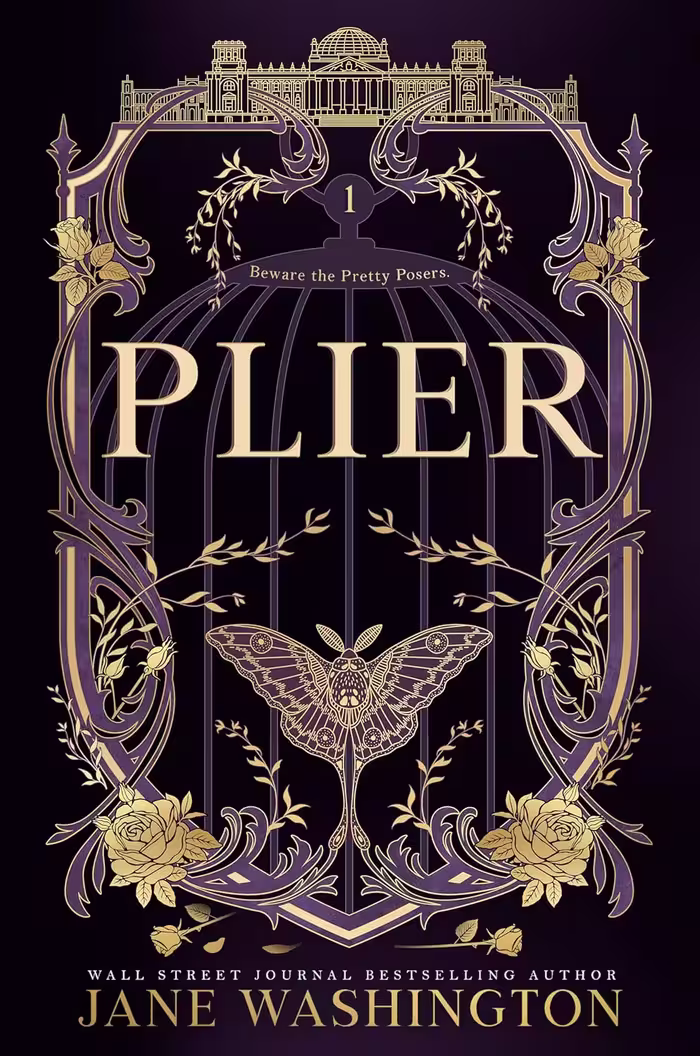 Plier (Ironside Academy Book 1)