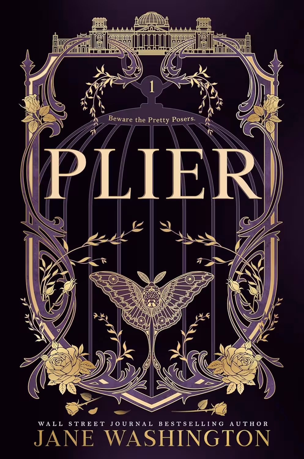 Plier (Ironside Academy Book 1)