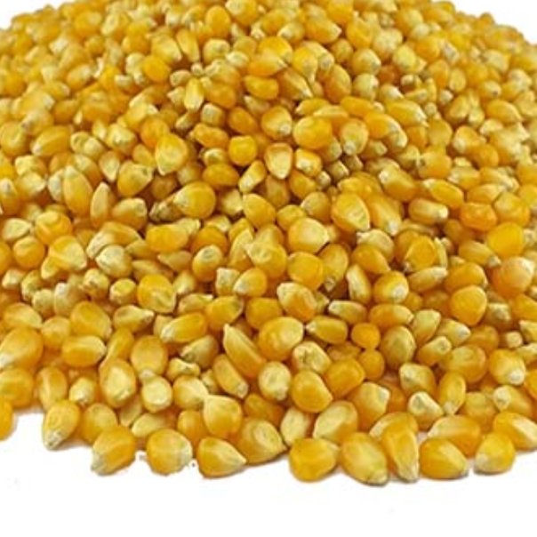 ذرت مکزیکی پفیلا (5کیلویی)