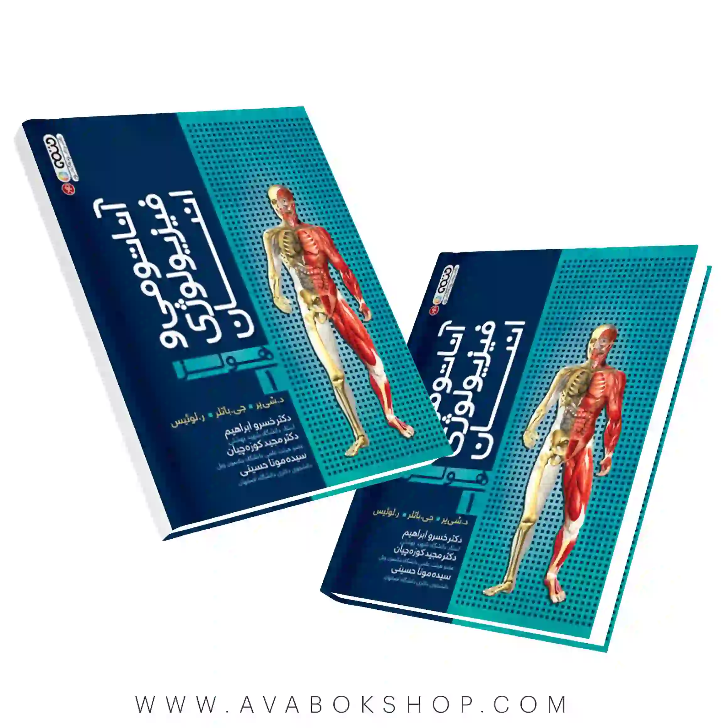 کتاب آناتومی و فیزیولوژی انسان هولز جلد اول انتشارات حتمی