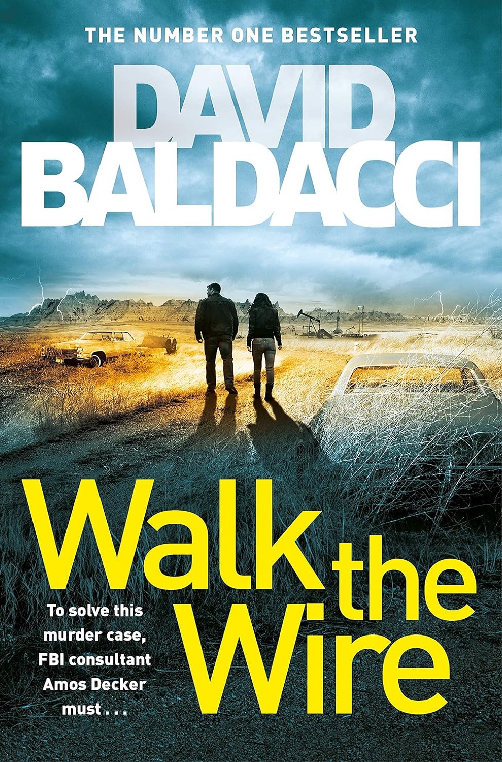 کتاب Walk the Wire (Amos Decker series Book 6) (متن کامل)