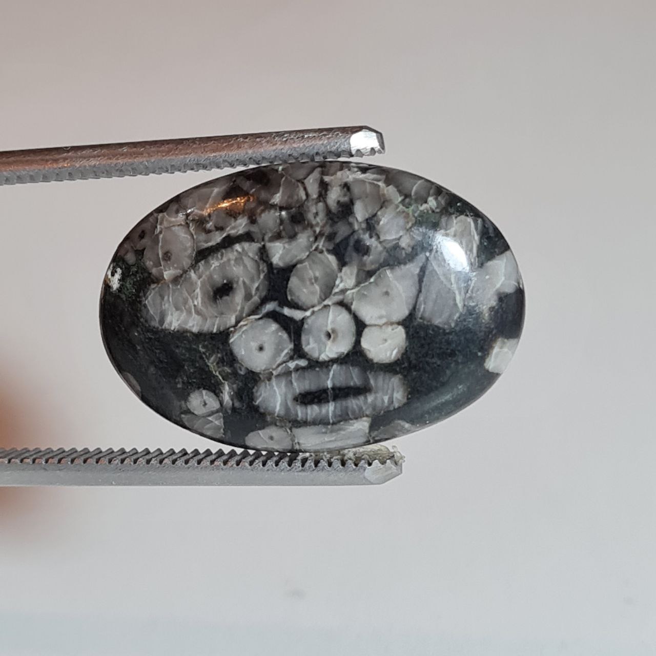 سنگ قیمتی کرونایت فسیل اصل 3217