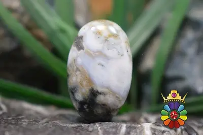 جاسپر اقیانوسی