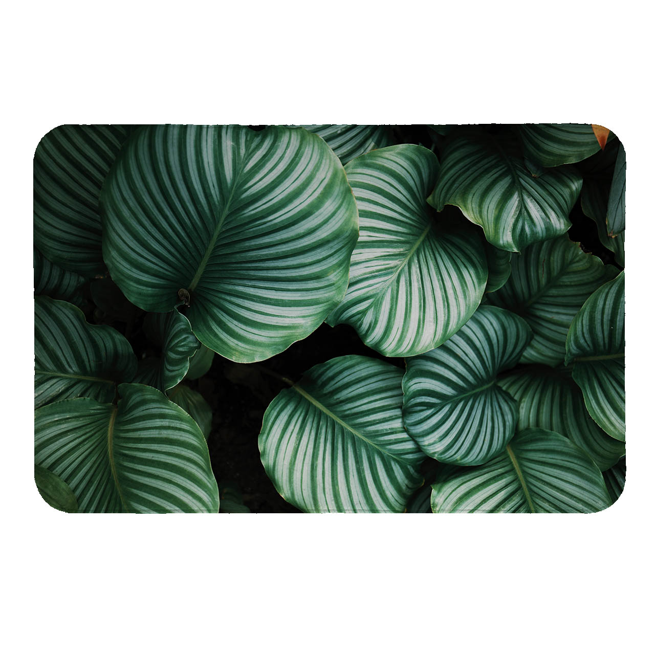  رطوبت گیر کنار سینک کد 8535