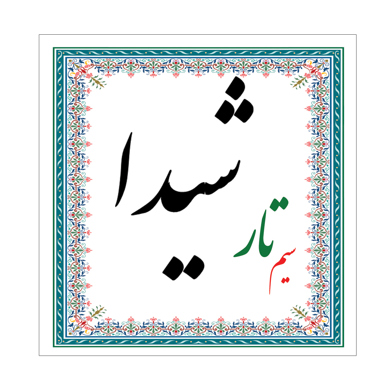 سیم تار شیدا مدل set