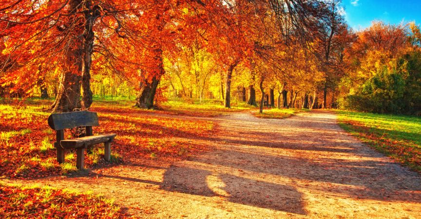 خرید و دانلود عکس Nature-Part-20 کد 36019 | پیک فاکس | Pic Fox