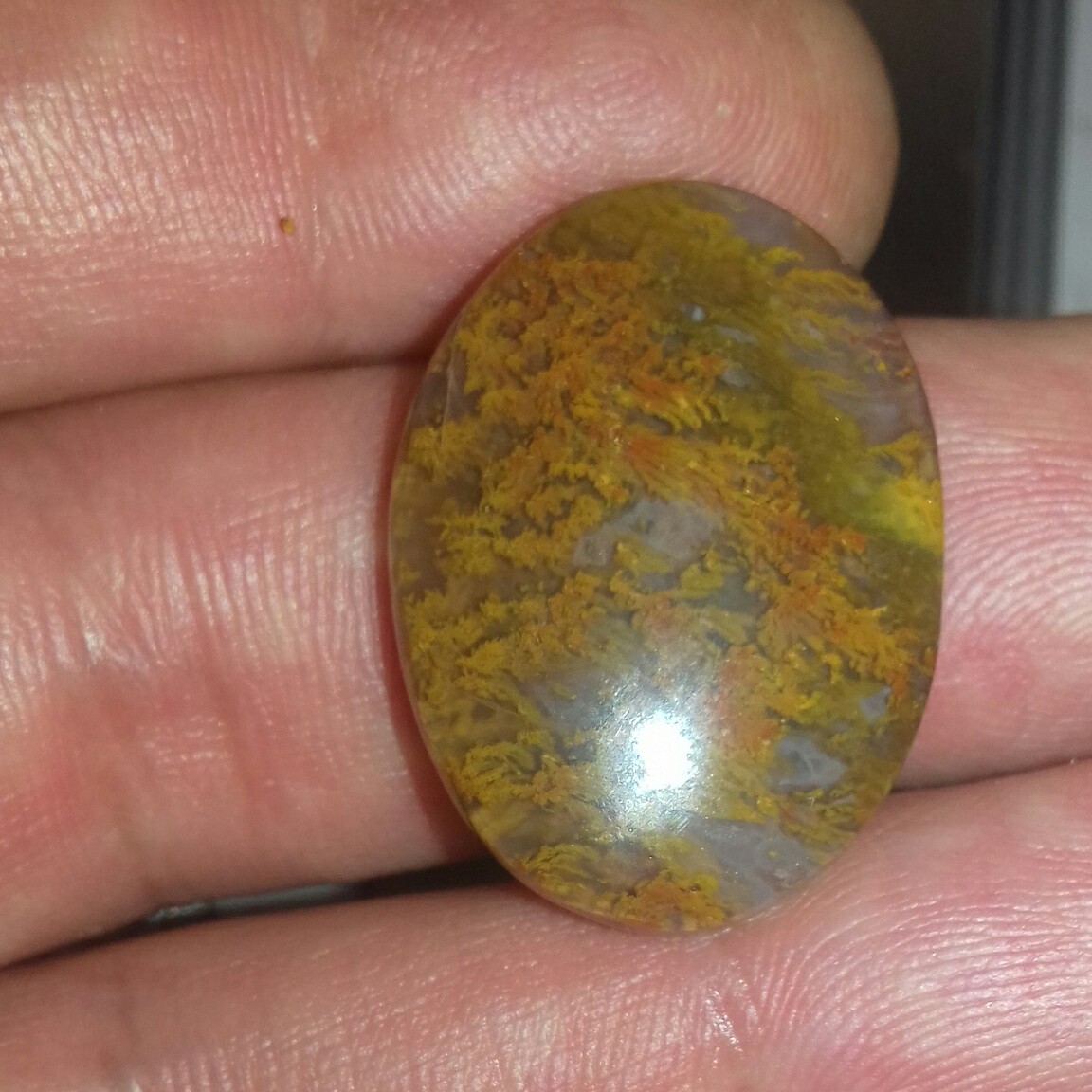 نگین شجر پاییزی منطقه فردوس