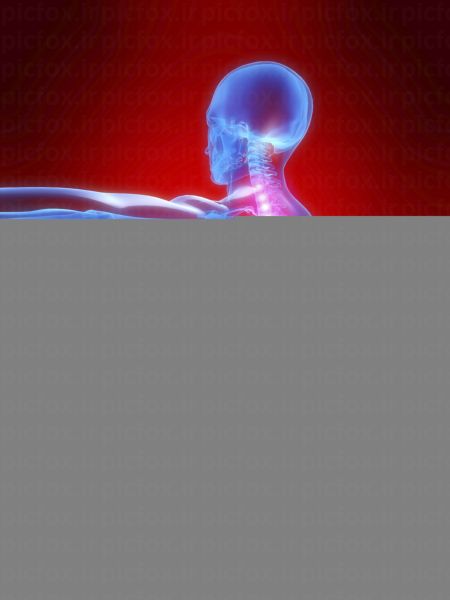 خرید و دانلود عکس IranBCS کد 27555 | پیک فاکس | Pic Fox