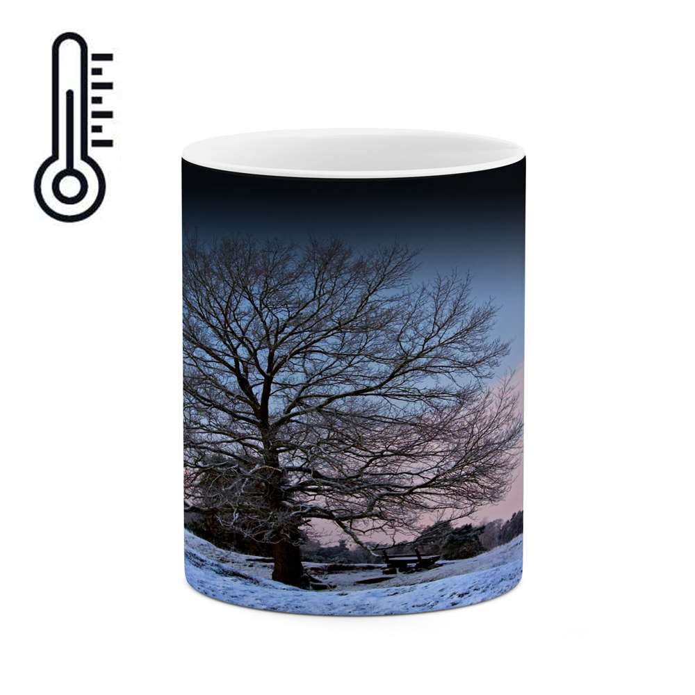 ماگ حرارتی کاکتی طرح منظره مدل mgh17831