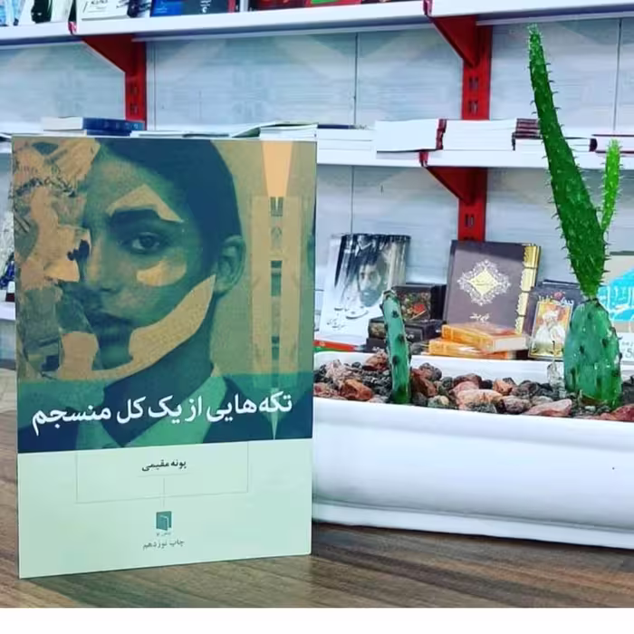کتاب تکه هایی از یک منجسم