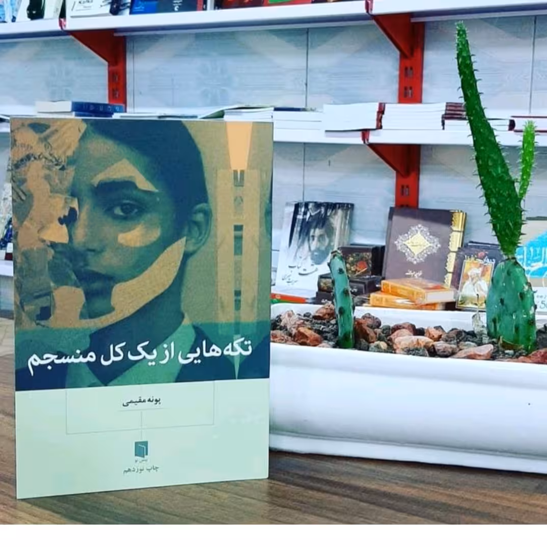 کتاب تکه هایی از یک منجسم