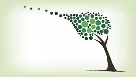 تحقیق بررسی باد