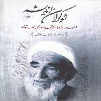 خرید کتاب شوکران اندیشه؛ خاطرات و اندیشه‌هایی از آیت‌الله صالحی نجف‌آبادی &#8212; کتابسرای طه