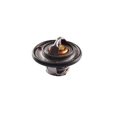 ترموستات بابا پارت موتور کد U76 مناسب برای ریو