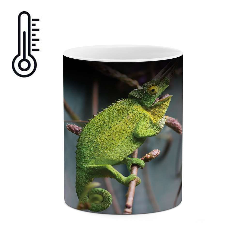 ماگ حرارتی طرح آفتاب پرست مدل mgh04485