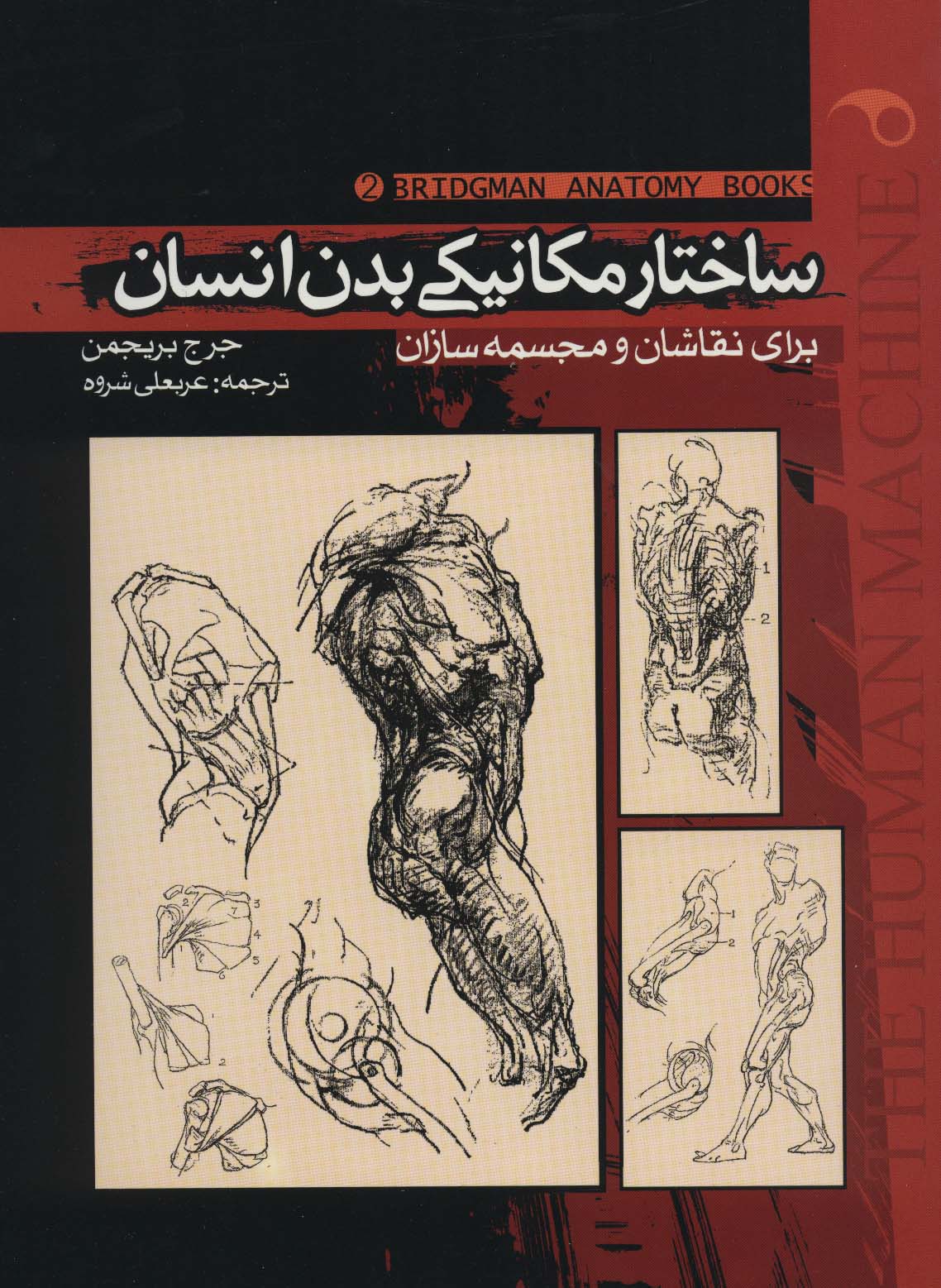 ساختار مکانیکی بدن انسان 2 (برای نقاشان و مجسمه سازان) - ناشربوک | خرید آنلاین کتاب