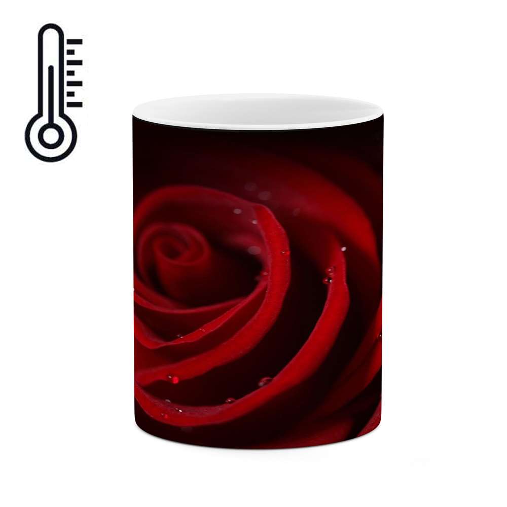 ماگ حرارتی 
کاکتی طرح گل رز مدل mgh18049