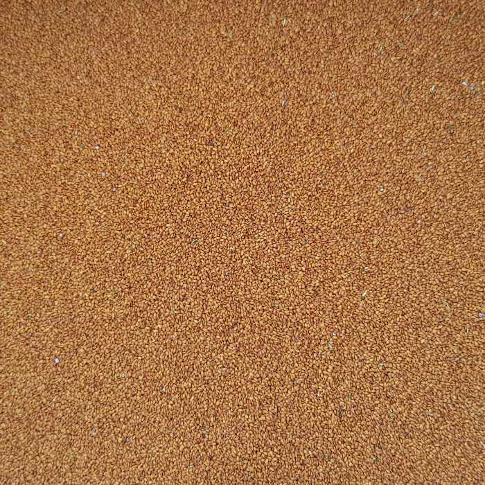 خاکشیر درجه یک تازه نیشابور،تمیز،شیرین،بسته 500گرم