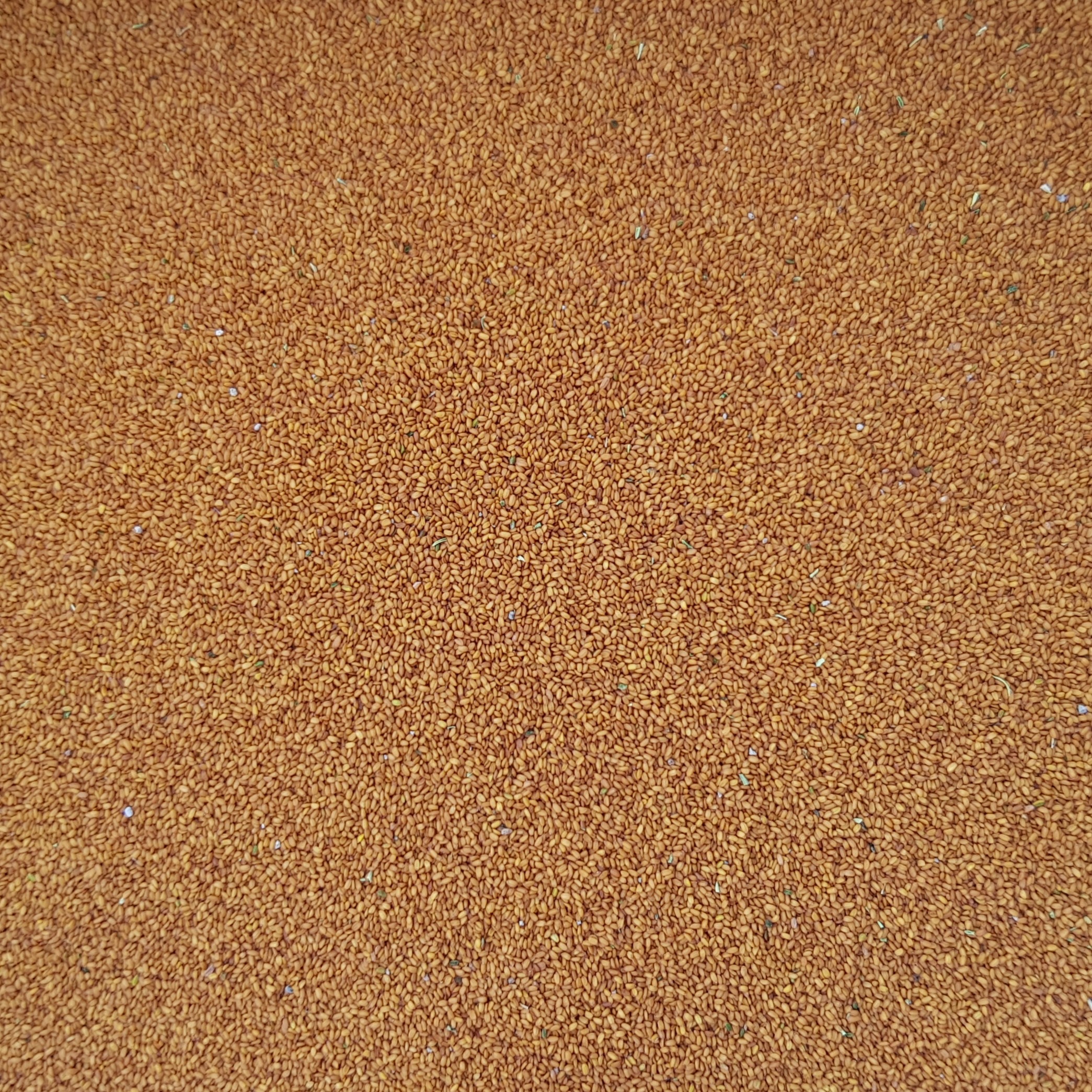 خاکشیر درجه یک تازه نیشابور،تمیز،شیرین،بسته 500گرم