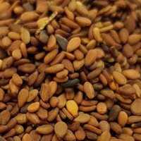 کنجد محصول امسال درجه یک