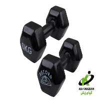 خرید دمبل ایروبیک رکورد 6 کیلویی | خرید   قیمت مناسب