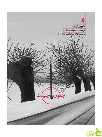 جنون چیست دارین لیدر ارجمند - سیب ترش - SibTorsh دارین لیدر