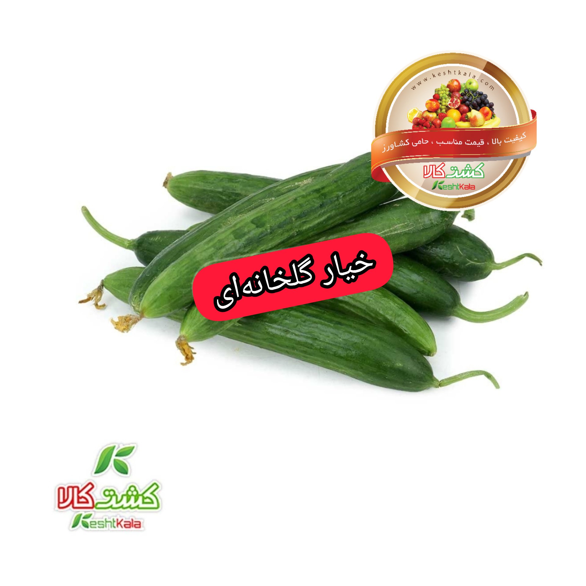 خیار گلخانه ای
