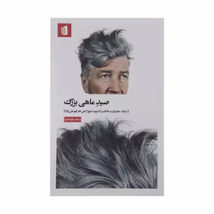 کتاب صید ماهی بزرگ اثر دیوید لینچ نشر بیدگل