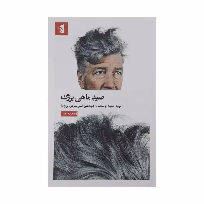 کتاب صید ماهی بزرگ اثر دیوید لینچ نشر بیدگل