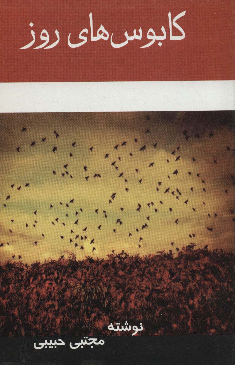 کابوس های روز - ناشربوک | خرید آنلاین کتاب