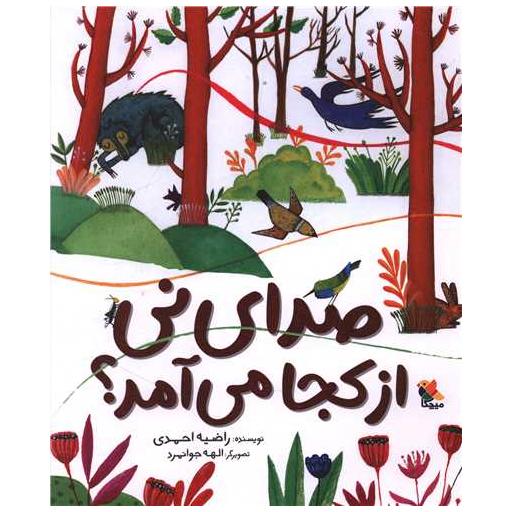 کتاب صدای نی از کجا می آمد (وزیری) اثر راضیه احمدی