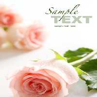 خرید و دانلود عکس IranBCS کد 27851 | پیک فاکس | Pic Fox