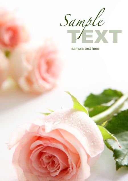 خرید و دانلود عکس IranBCS کد 27851 | پیک فاکس | Pic Fox