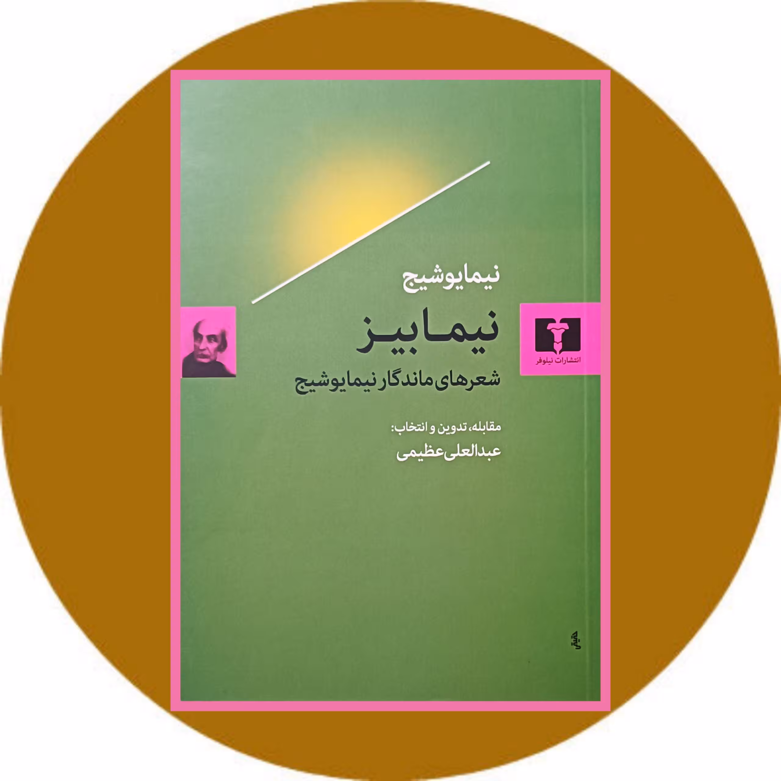 کتاب نیمابیز - خرید با تخفیف چهل درصد از کتاب دایره قهوه ای