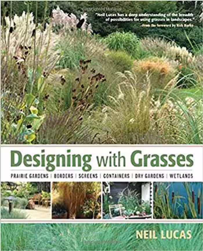 󾕇 دانلود کتاب Designing with Grasses - دانلود کتاب های دانشگاهی