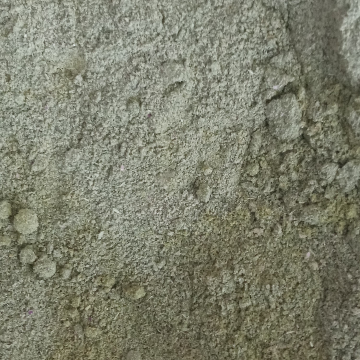 ادویه دوغ و ماست صد گرمی