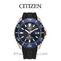 ساعت مچی سیتیزن مدل BN0196-01L