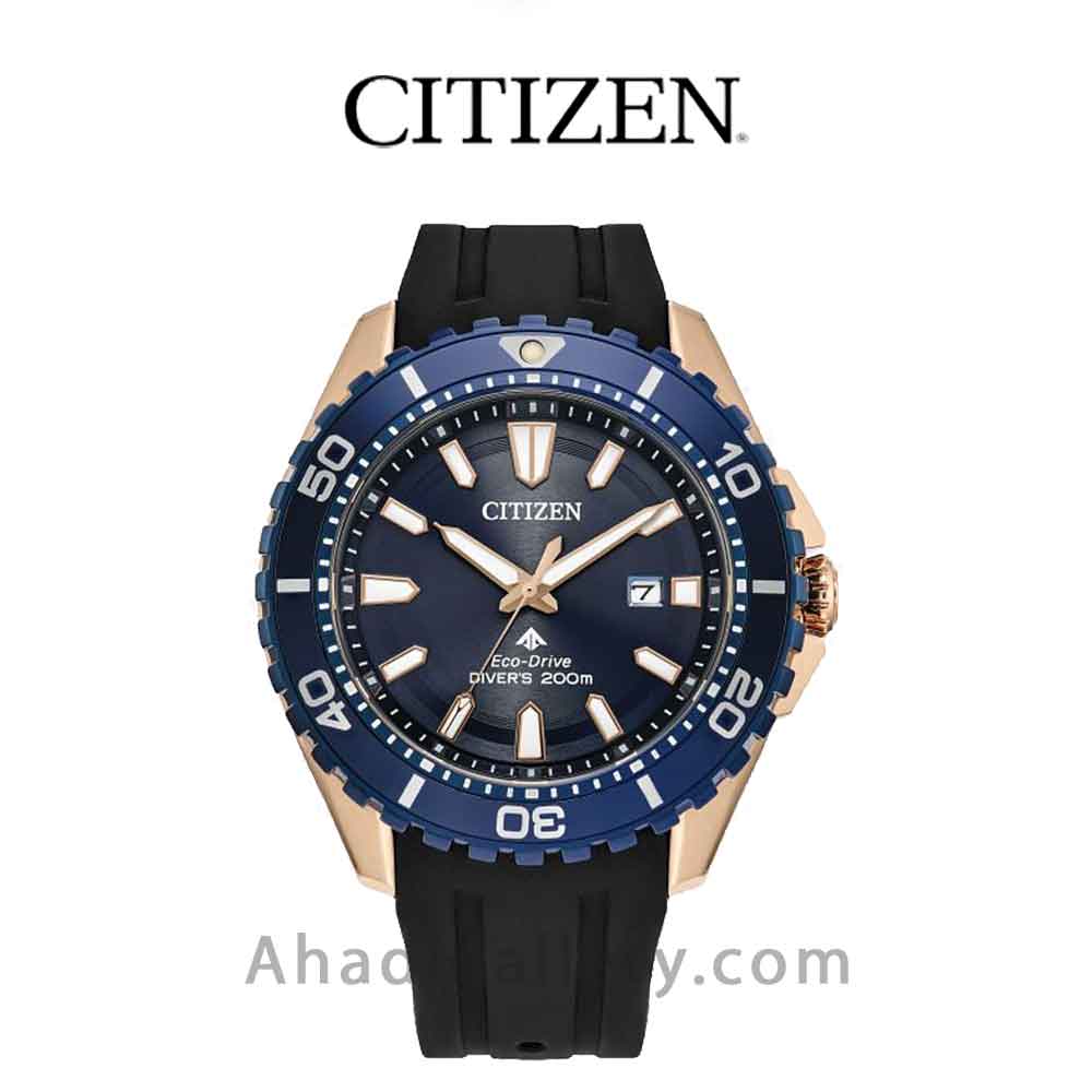 ساعت مچی سیتیزن مدل BN0196-01L