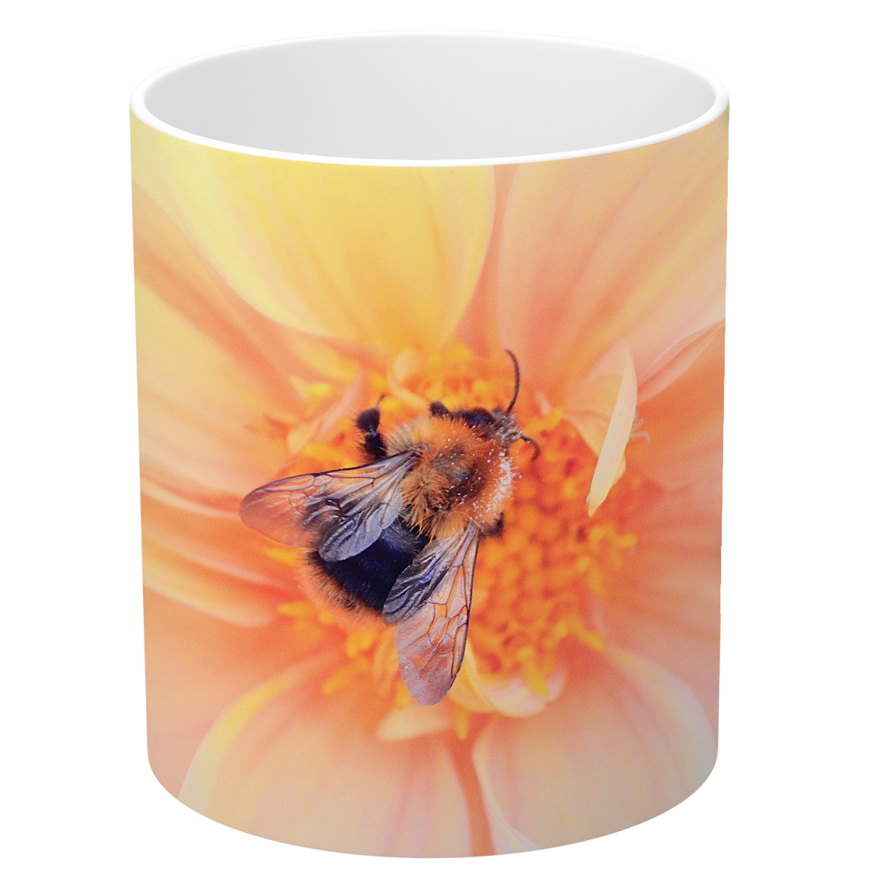 ماگ طرح گل آهاری و زنبور مدل NI667