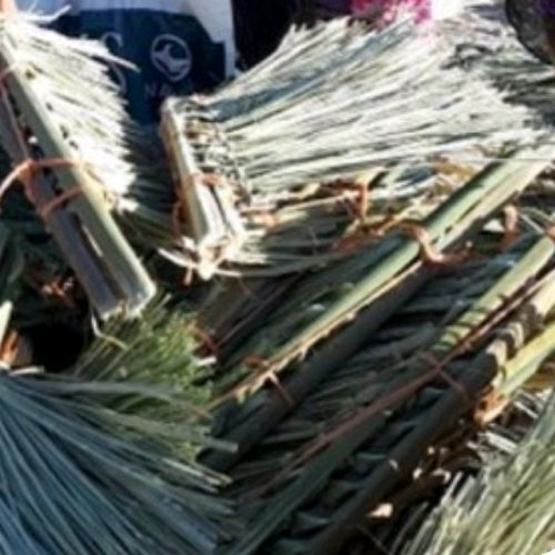 جارو حصیری 3 عدد  همراه با اشانتیون ارسال رایگان سه خرید یک محصول هدیه