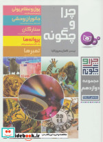 قیمت و خرید کتاب چرا و چگونه 12 اثر فرانسیسکا یونگمان اشتادلر و دیگران | ایده بوک