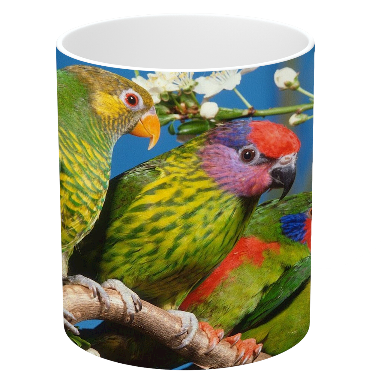 ماگ طرح طوطی مدل NI673