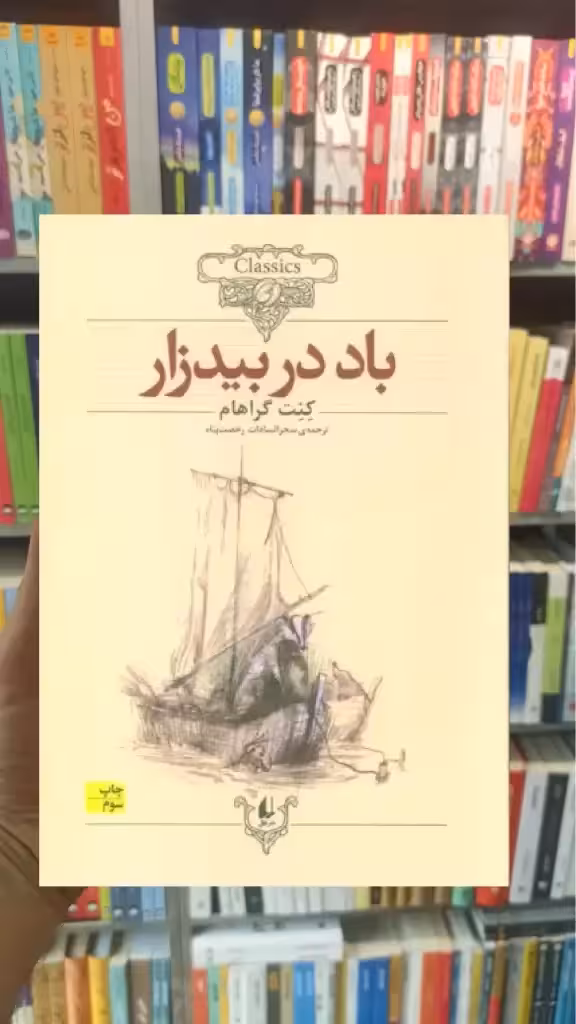 باد در بیدزار افق - بانک کتاب ماندگار-قیمت-خرید-کتاب-کمک-درسی-کنکور-دانشگاهی