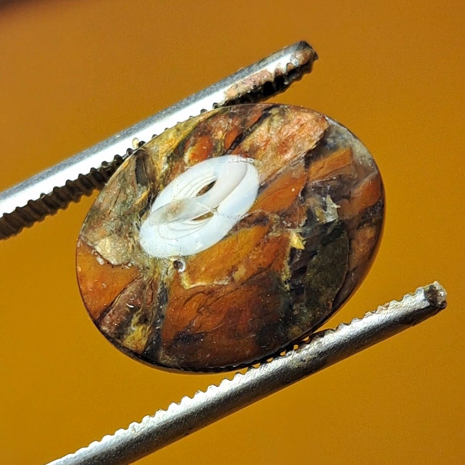 نگین عقیق چوب اصل (petrified wood) کاملا طبیعی و با اصالت تراش پولیش آینه ای 