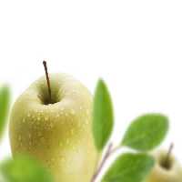 خرید و دانلود عکس Green apple کد 24652 | پیک فاکس | Pic Fox