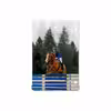برچسب پوششی ماهوت مدل Equestrianism مناسب برای تبلت سامسونگ Galaxy Tab S2 8.0 2015 T715