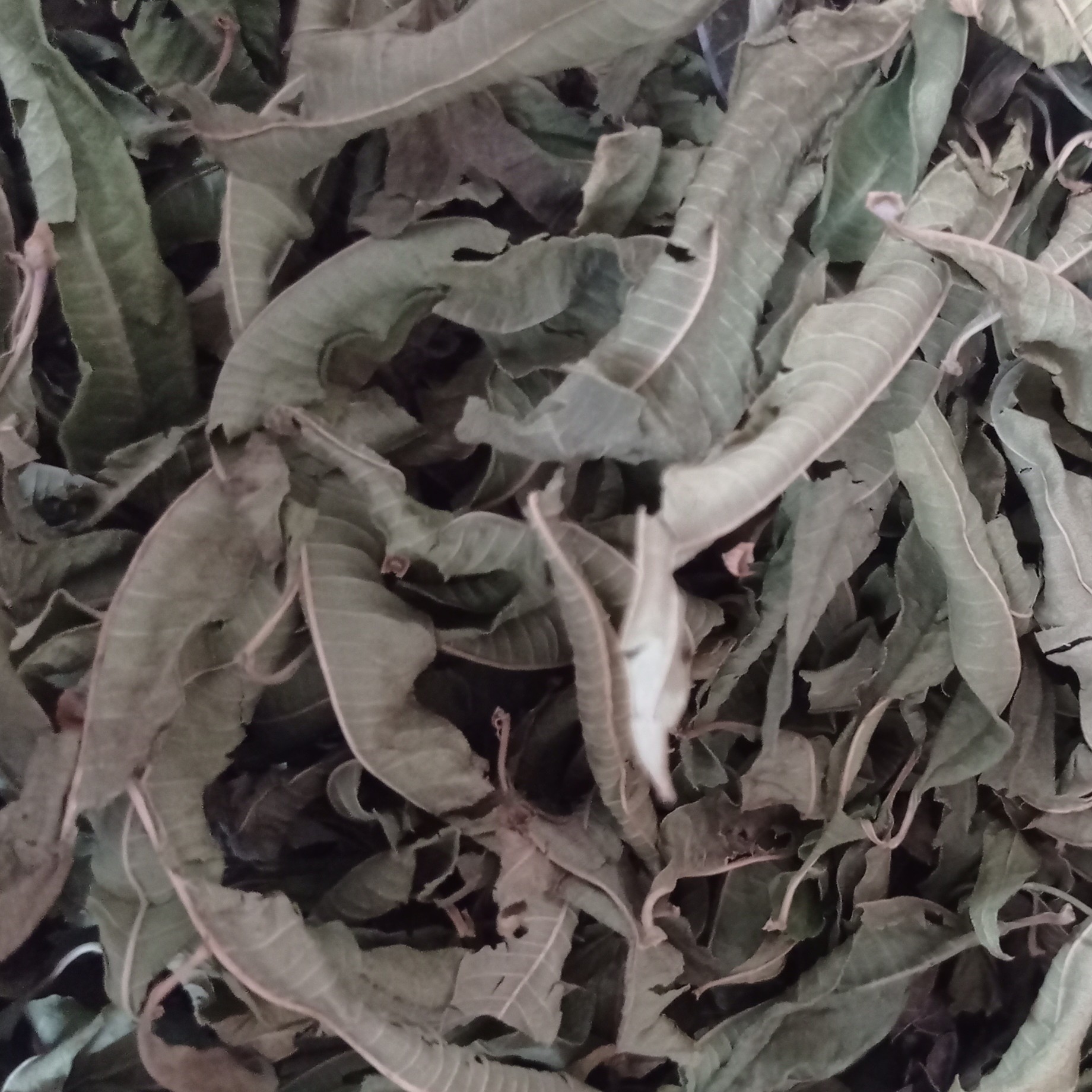 به لیمو اعلا 50 گرم